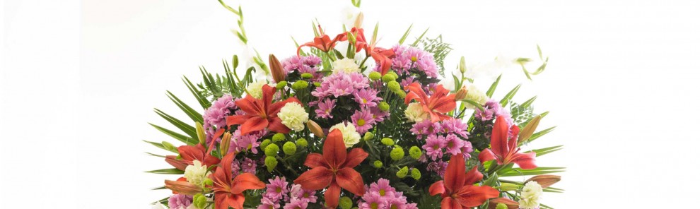 Centros funerarios Centros funerarios