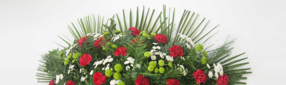 Almohadones Almohadones